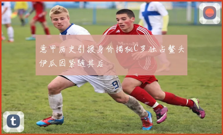 意甲历史引援身价揭秘C罗独占鳌头伊瓜因紧随其后