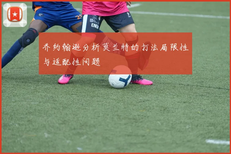 乔约翰逊分析莫兰特的打法局限性与适配性问题